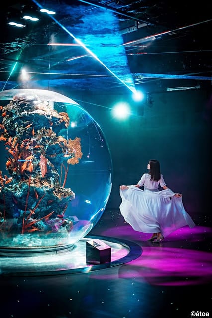 Kobe Urban Aquarium Aquarium×art Átoa Admission Ticket - Customer Reviews and Ratings