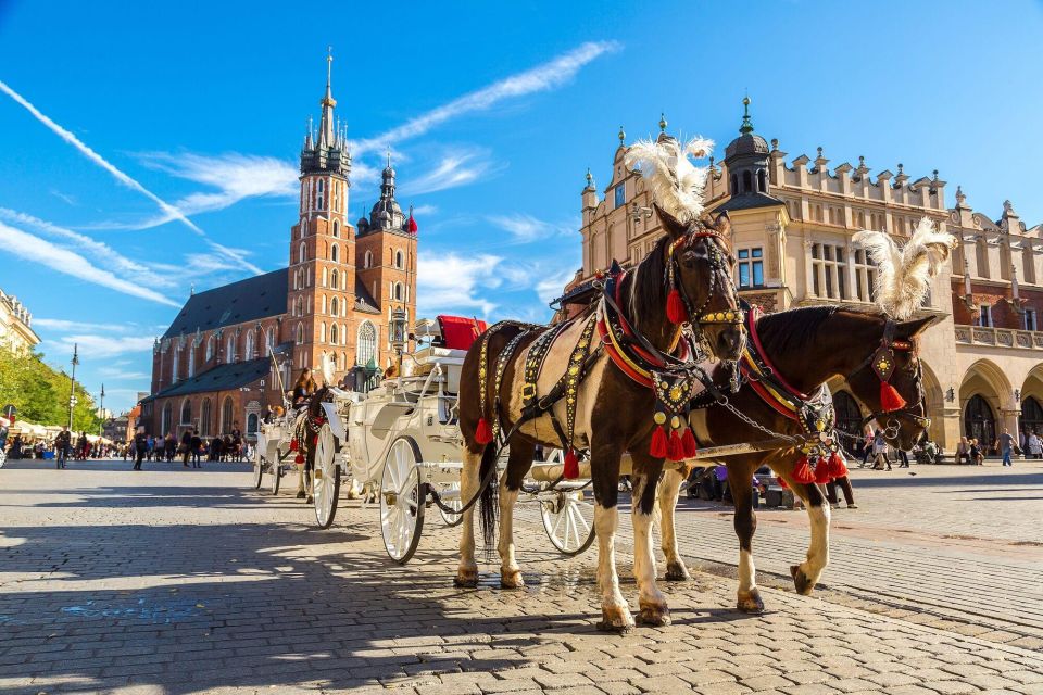 Krakow Airport Transfer to City - Pricing and Availability