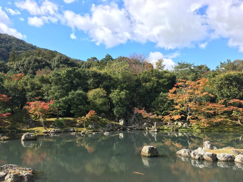 Kyoto: Arashiyama Bamboo Grove, Monkey Mountain Walking Tour - Customer Reviews