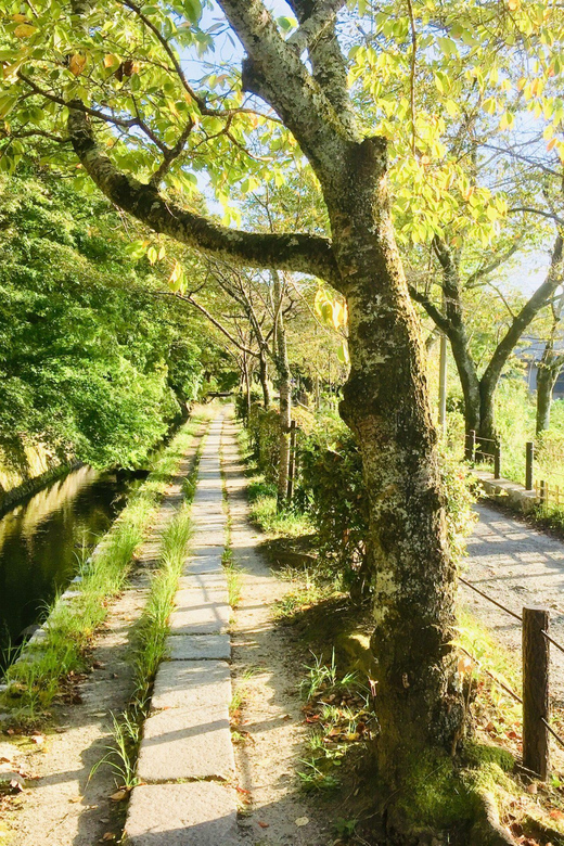 Kyoto: Private Guided Tour of Temples and Shrines - Languages and Group Size