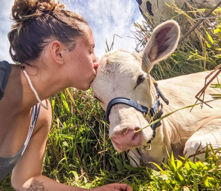 Laupahoehoe: Farm Animal Sanctuary Private Tour - Child Policy