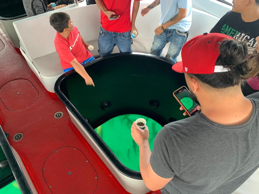 Long Beach: Glass Bottom Boat Harbor Ecotour - Customer Feedback