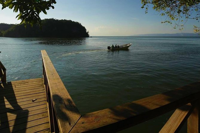 Los Haitises National Park Tour From Punta Cana Montana Redonda and Cano Hondo - Exploring Mangroves, Caves, and Islands