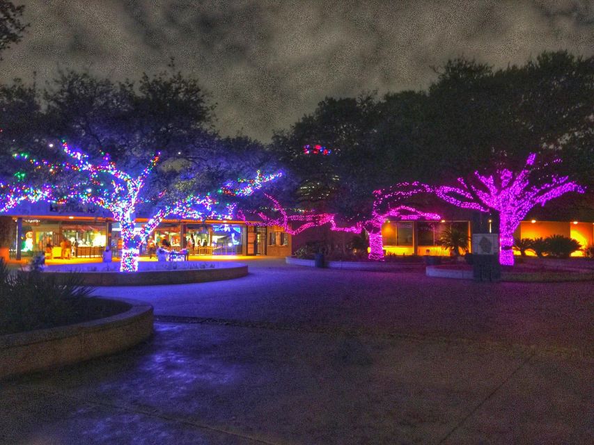 Magical Houston Holiday: Enchanting Christmas Adventure - Discovery Green