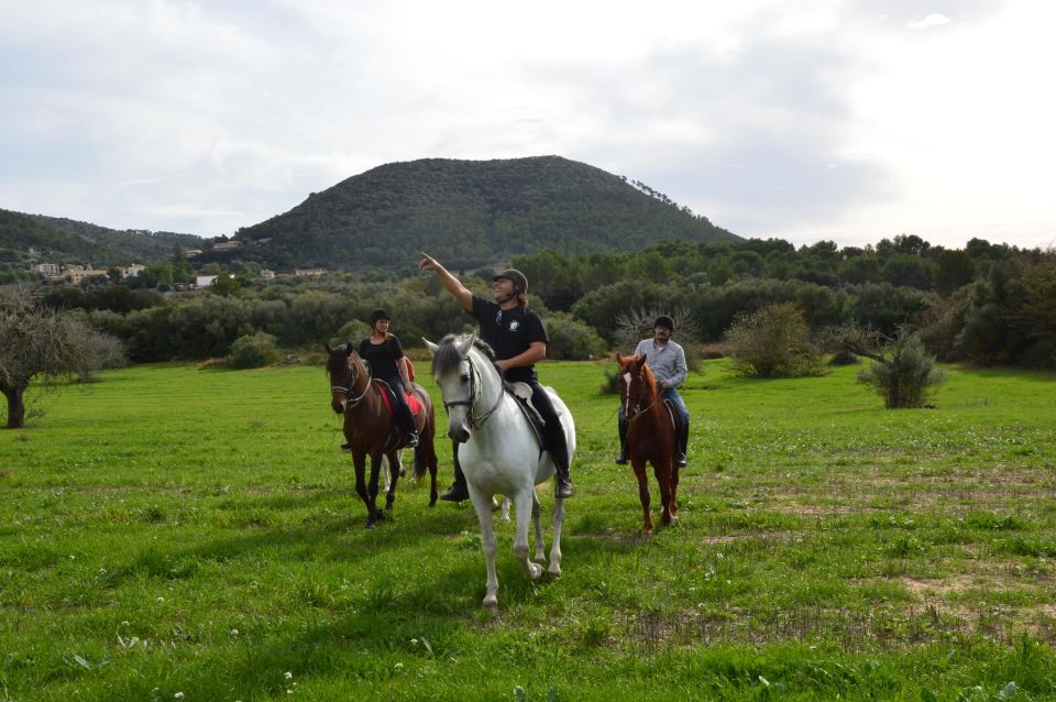 Mallorca: Activity, Antique Mallorca With Picnic - Inclusions and Exclusions