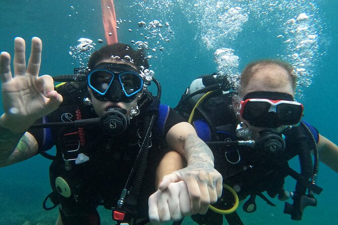 Mallorca PRIVATE Scuba Dive + Photo/Video - Reviews and Recognition