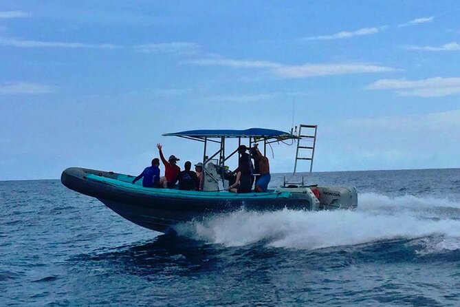 Manta Ray Night Snorkel at Kona, Big Island - Manta Ray Sighting Guarantee