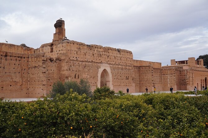 Marrakech The History and Culture Day Trip - Cultural Immersion in Marrakech