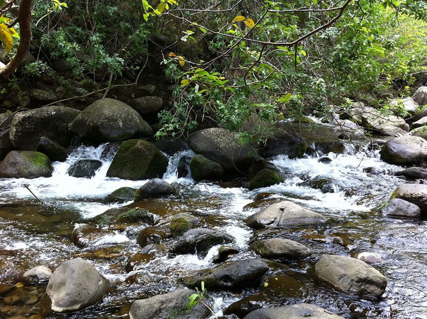 Maui: Haleakala and Iao Valley Tour - Makawao Town and Lunch