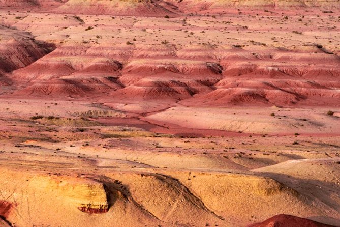 Merzouga Desert Tour 3 Days From Marrakech to Fes - Customer Reviews and Ratings