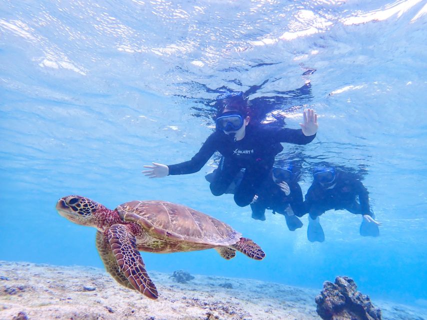 Miyako Island: Kayaking and Snorkeling Experience - Snorkeling With Turtles