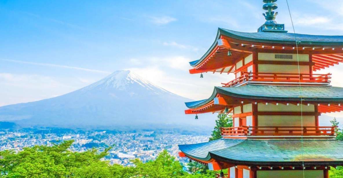 Mount Fuji Panoramic View & Shopping Day Tour - Accessibility