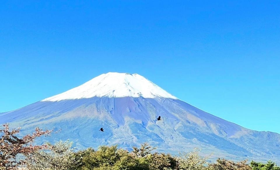 Mount Fuji Private Sightseeing Customized Day Tour - Transportation and Accessibility