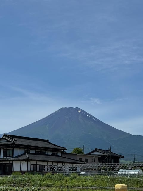 Mount Fuji,Oshino Hakkai , Kawaguchi Lake,1-Day Private Tour - Transportation & Pickup