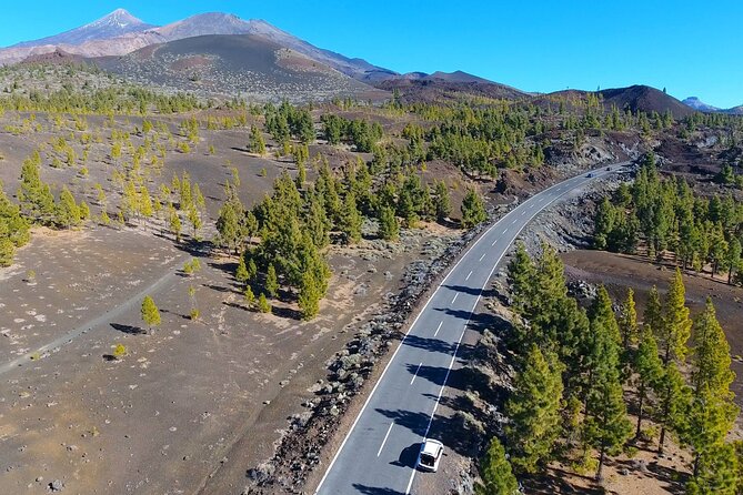 Mount Teide Quad Day Trip in Tenerife National Park - Weight Capacity for Quads