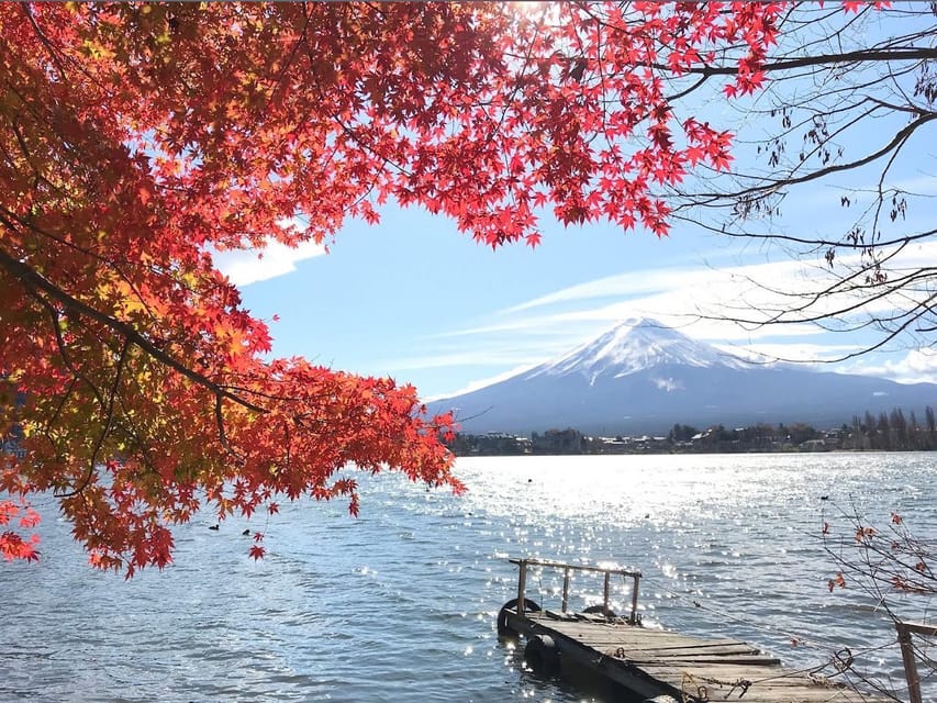 Mt.Fuji Private Tour by Car With Pick and Drp From Tokyo - Customer Reviews and Ratings