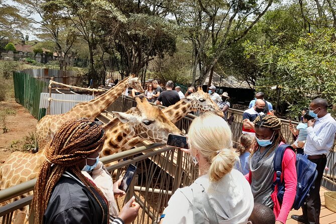 Nairobinational Park, Giraffe Center , Elephant and Blixen Museum - Karen Blixen Museum