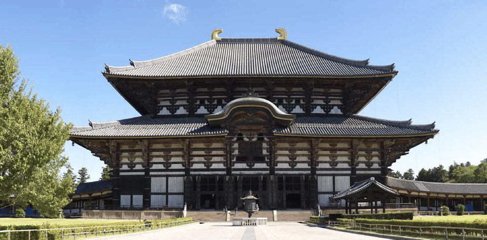 Nara Private Custom Tour With Local Guide Review - Wandering Nara Park