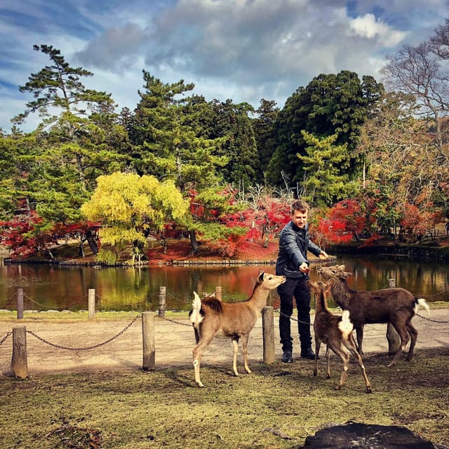 Nara: Todai-ji, Kasuga, and Nara Park (Russian Language) - Important Information