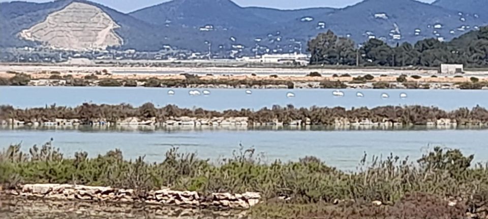 NATURE WALK + BEACH, YOGA & OPTION OF HEALTHY BIO PICKNICK - Salt Flats and Bird Watching