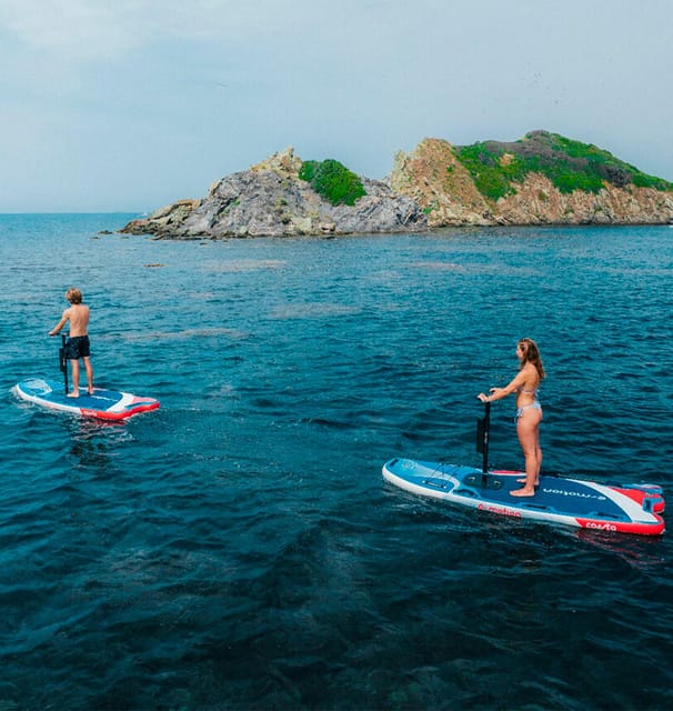 NEW ELECTRIC PADDLE SURF IN SANTA PONSA - Customer Feedback