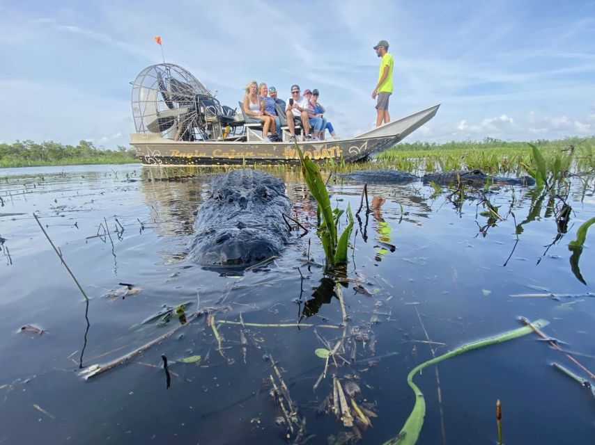 New Orleans: 10 Passenger Airboat Swamp Tour - Safety and Restrictions