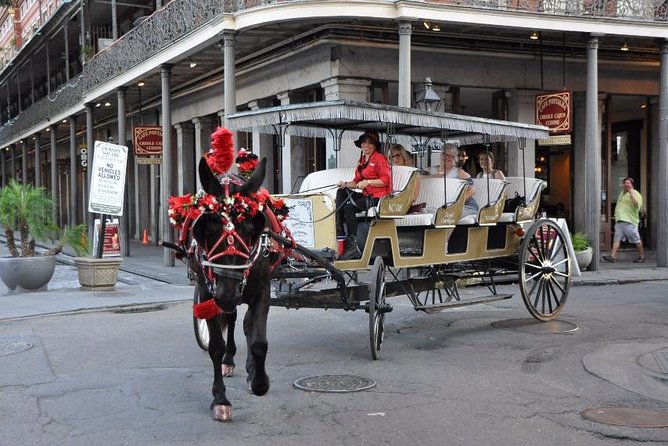 New Orleans French Quarter & More Carriage Ride - Knowledgeable and Insightful Guides