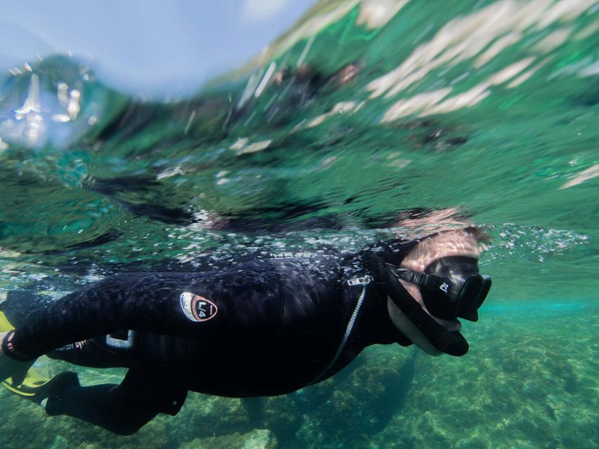 Nice: Speedboat Day Trip With Snorkeling in Villefranche Bay - Marine Life Observation Opportunities