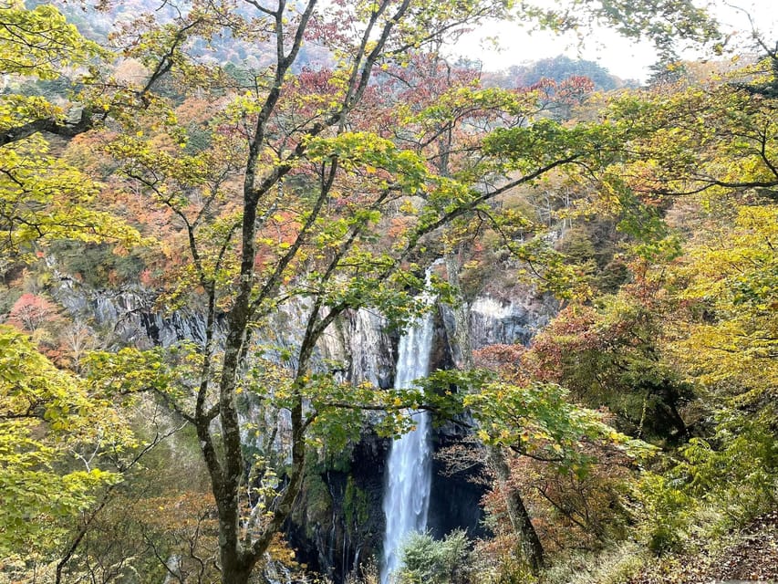 Nikko Full Day Private Tour With English Speaking Guide - Important Information