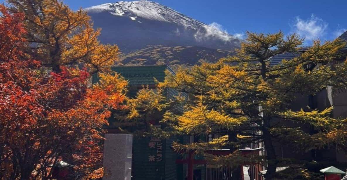 Nikko Private Tour With English Speaking Driver - Akechidaira Ropeway Observation Deck