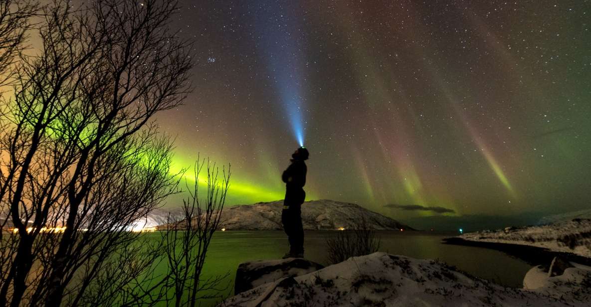 Northern Lights Tromsø - Small Group Tour With Local Guide - Flexibility and Personalization