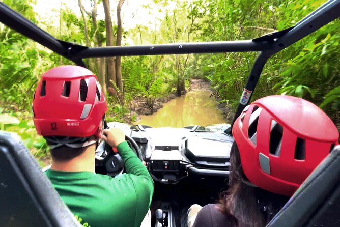 Off-Road UTV Tour: Explore Puerto Rico Minutes From San Juan - Adventurous Excursion