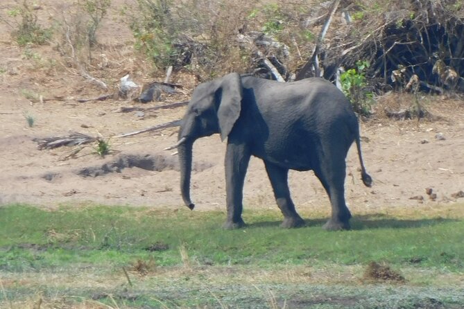 One Day Akagera Safari From Kigali - Encountering Elephants, Lions, and Hippos