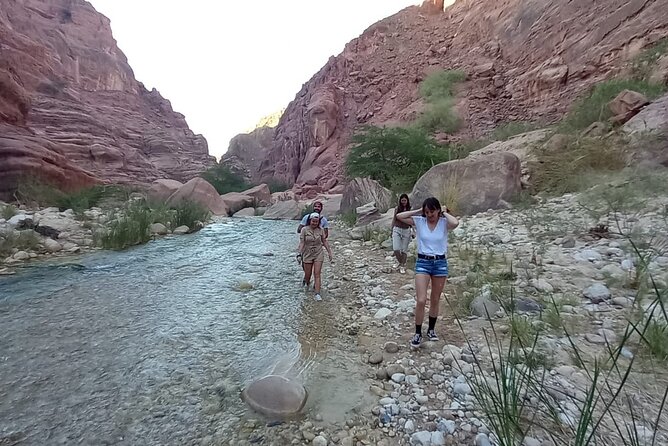 One Day Hiking Wadi Al Hasa Canyon - Taking in Jordans History