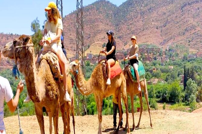 Ourika Valley: Private Luxury Trip to Atlas Mountains With All Inclusive - Accessibility and Mobility