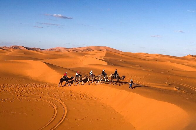 Overnight Stay in Desert Camp & Camel Trekking in the Sahara - Confirmation and Accessibility