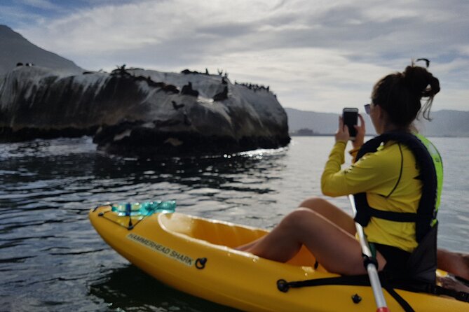 Paddle With the Penguins - Kayaking Adventure in Simons Town