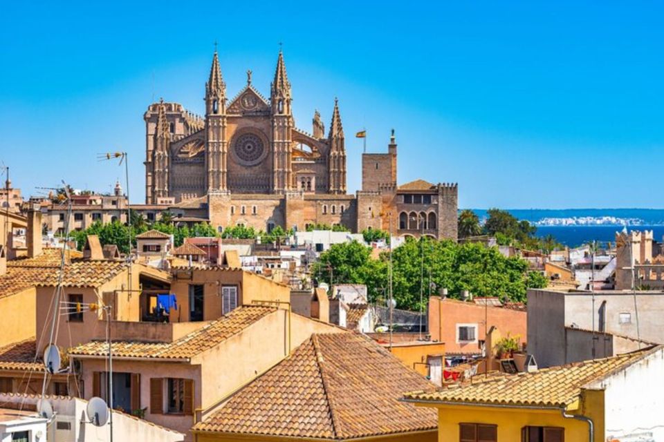 Palma De Mallorca: Private Custom Tour With a Local Guide - Things To Known