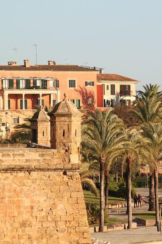 Palma De Mallorca Private Guided Walking Tour - Tour Meeting Point