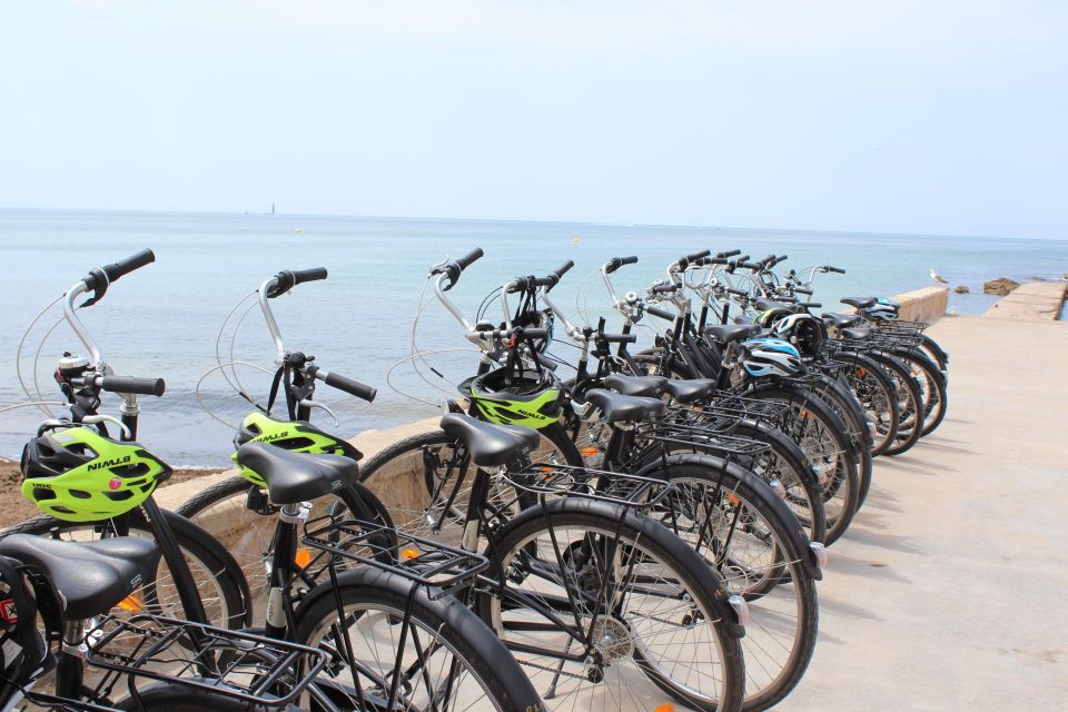 Palma Shore Excursion Bike Tour (Transfer Included) - Customer Reviews and Ratings