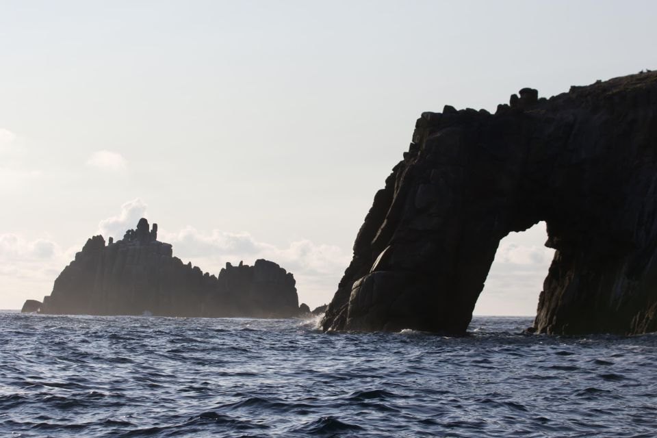 Penzance: Lands End Boat Tour With Wildlife Guides - Accessibility and Considerations