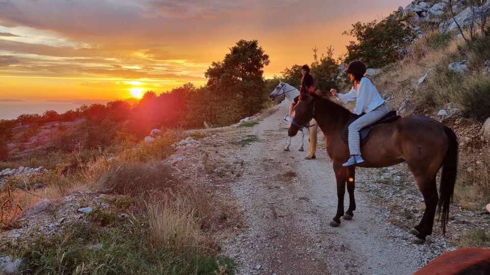 Podstrana: Guided Horseback Riding Experience - Participant Restrictions