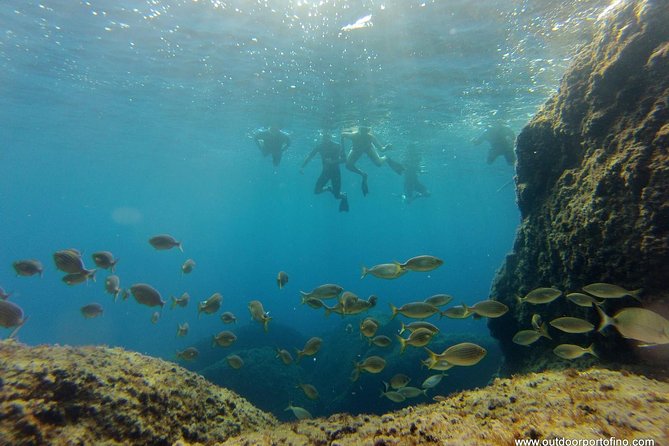 Portofino Kayak Tour - Snorkeling and Sunset Options