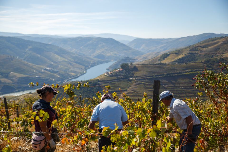 Private Douro Valley 4WD Tour With Wine Tasting and Picnic - Insurance Coverage