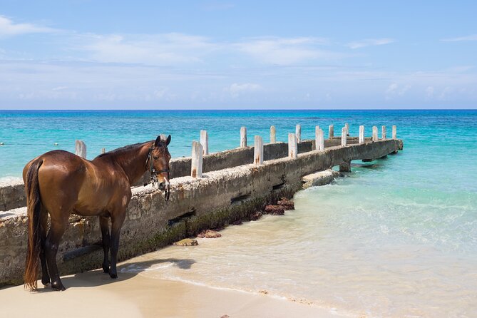 Private Experience Ocho Rios Horseback Riding, Rafting and ATV - Rafting on the River