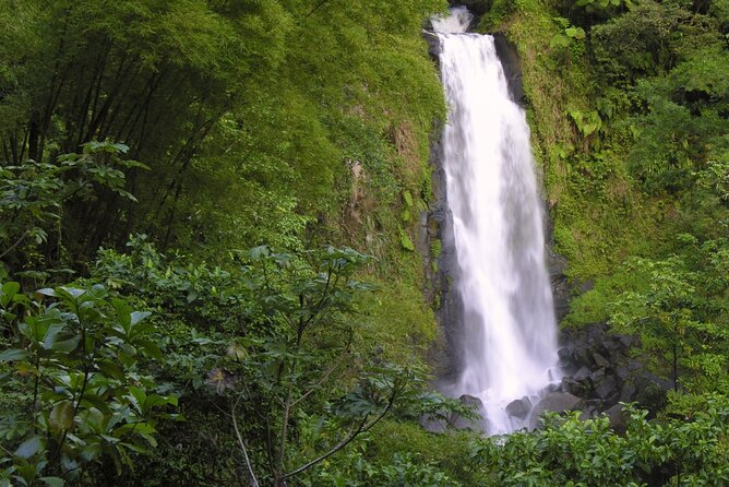 Private Half Day Tour of Roseaus Natural Beauty - Screws Sulfur Spas