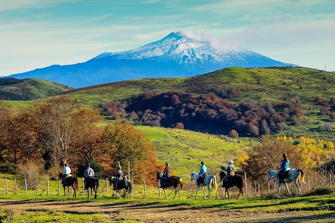 Private Horseback Riding Tour in Sicilian Countryside + Tradional Lunch - Cancellation Policy