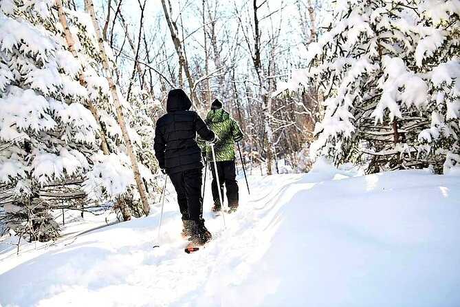 Private Ice Skating and Snowshoeing Adventure in Ontario - Homemade Chili Lunch