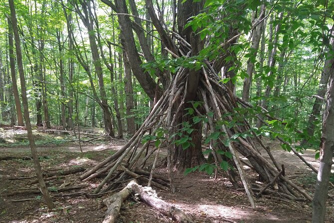 Private Singhampton Caves Hiking Tour, Collingwood/Blue Mtn - Included in the Tour