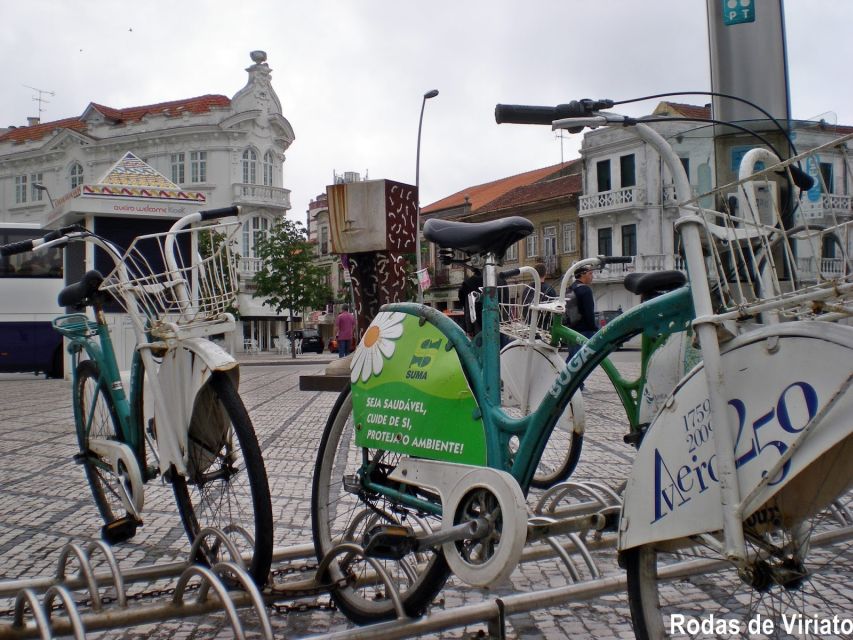 Private Tour in Aveiro With Guide En English - Walking Tour Through City